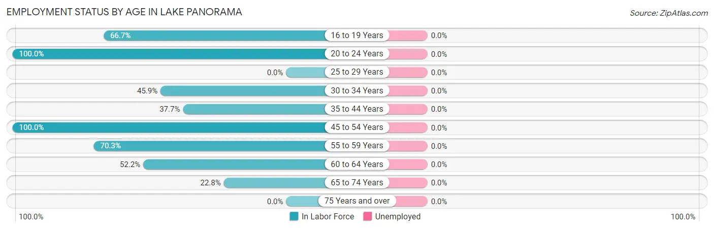 Employment Status by Age in Lake Panorama