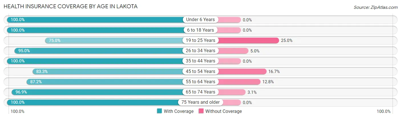 Health Insurance Coverage by Age in Lakota