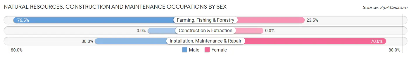 Natural Resources, Construction and Maintenance Occupations by Sex in Lakota