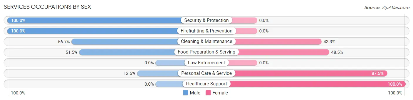 Services Occupations by Sex in Larchwood
