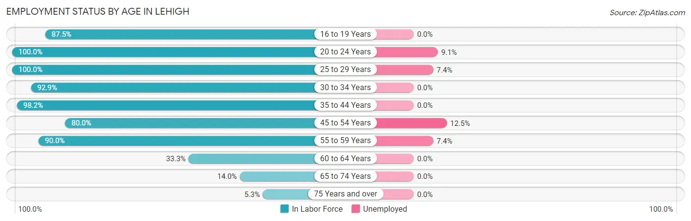 Employment Status by Age in Lehigh