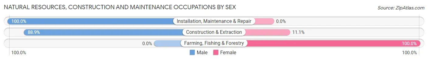 Natural Resources, Construction and Maintenance Occupations by Sex in Lewis