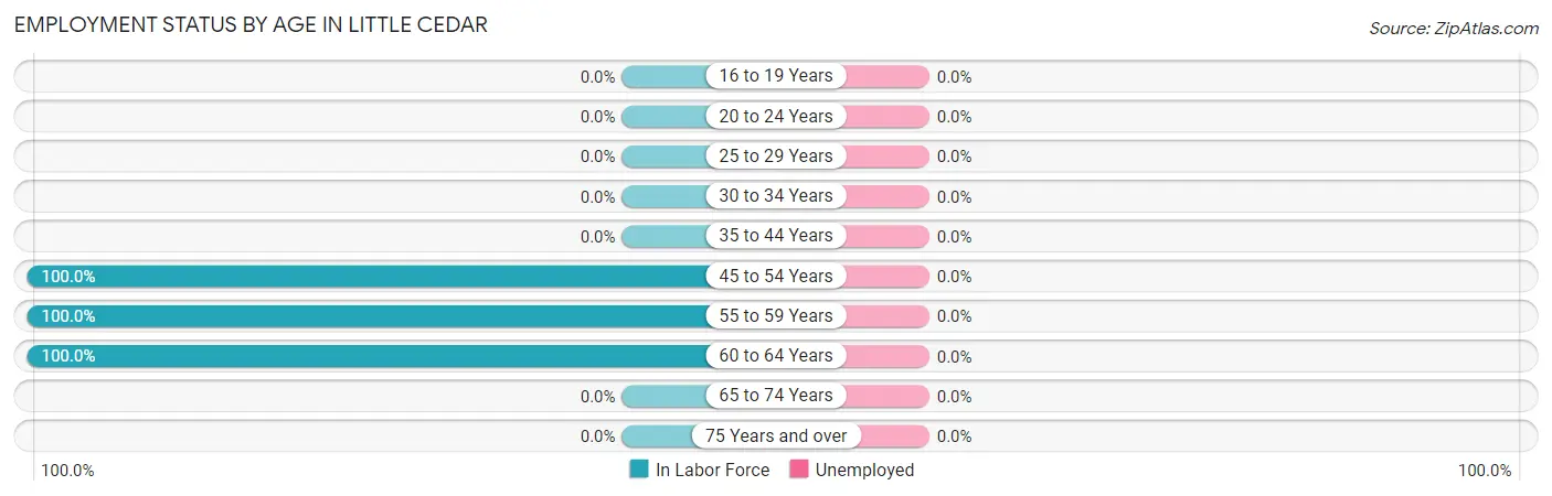 Employment Status by Age in Little Cedar