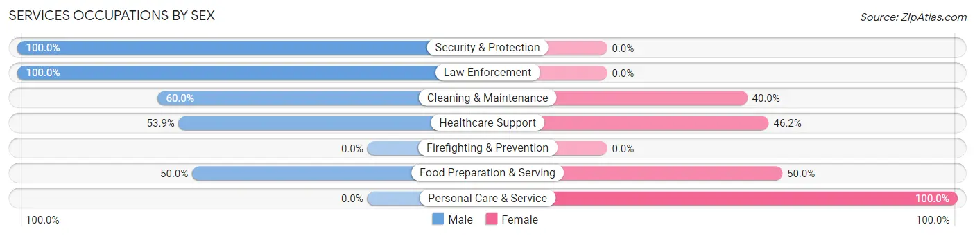 Services Occupations by Sex in Lohrville