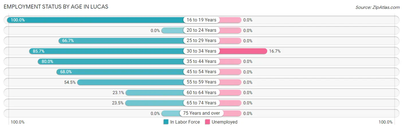 Employment Status by Age in Lucas