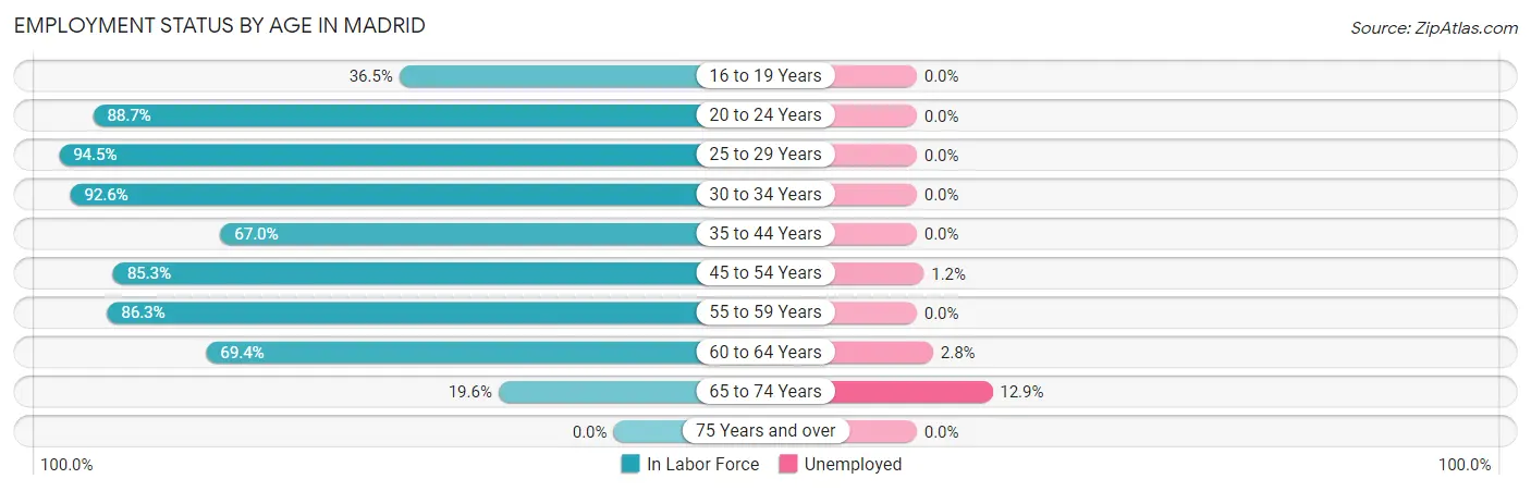 Employment Status by Age in Madrid