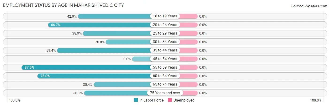 Employment Status by Age in Maharishi Vedic City