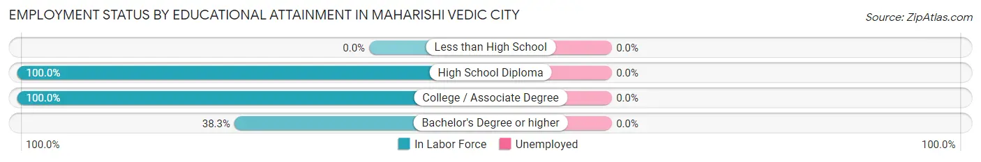 Employment Status by Educational Attainment in Maharishi Vedic City