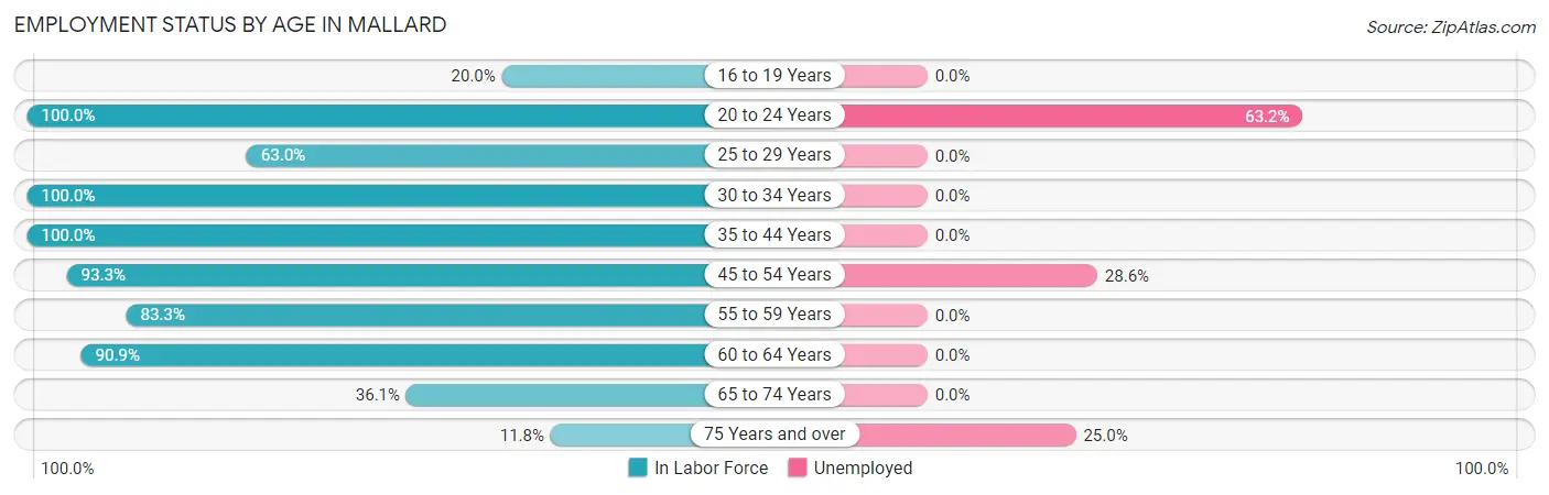 Employment Status by Age in Mallard