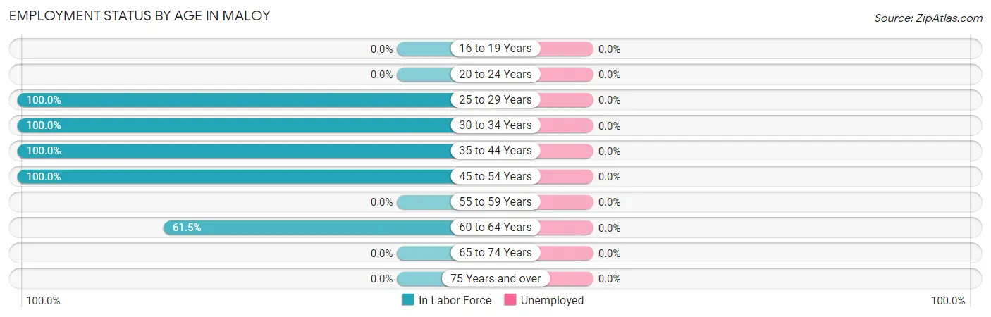Employment Status by Age in Maloy