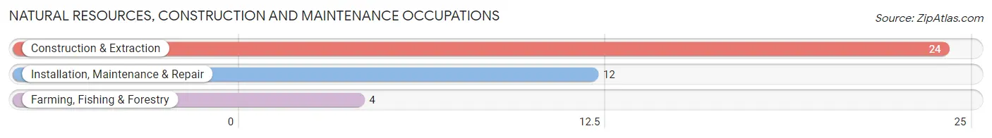 Natural Resources, Construction and Maintenance Occupations in Marcus