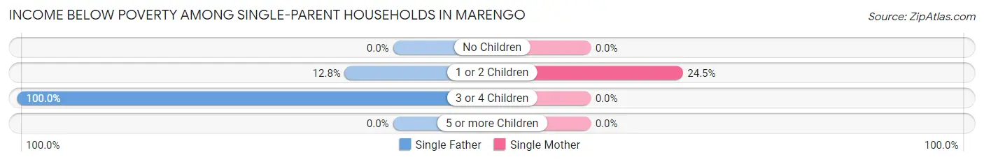 Income Below Poverty Among Single-Parent Households in Marengo