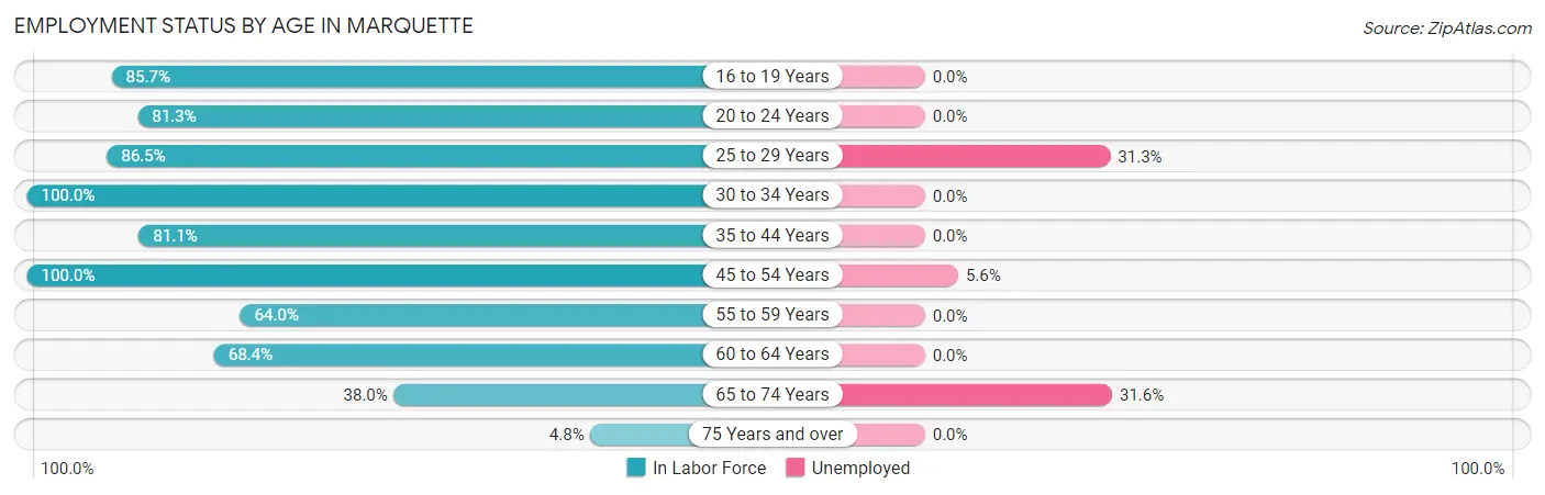 Employment Status by Age in Marquette