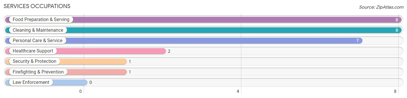 Services Occupations in Maurice