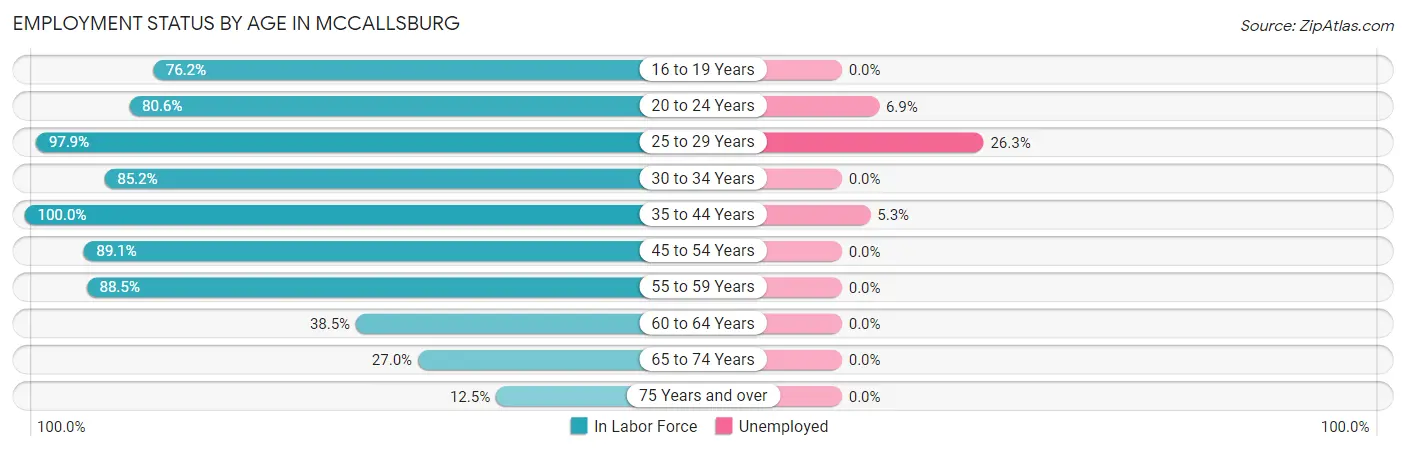 Employment Status by Age in McCallsburg