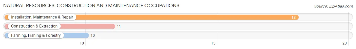 Natural Resources, Construction and Maintenance Occupations in Merrill