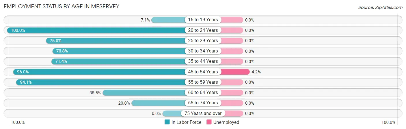 Employment Status by Age in Meservey