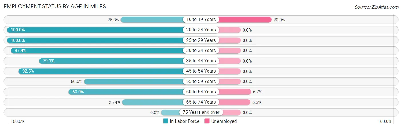 Employment Status by Age in Miles