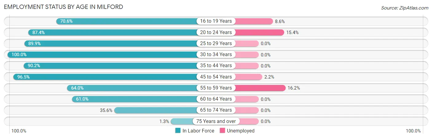 Employment Status by Age in Milford