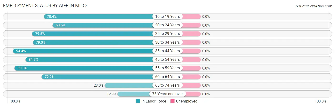 Employment Status by Age in Milo