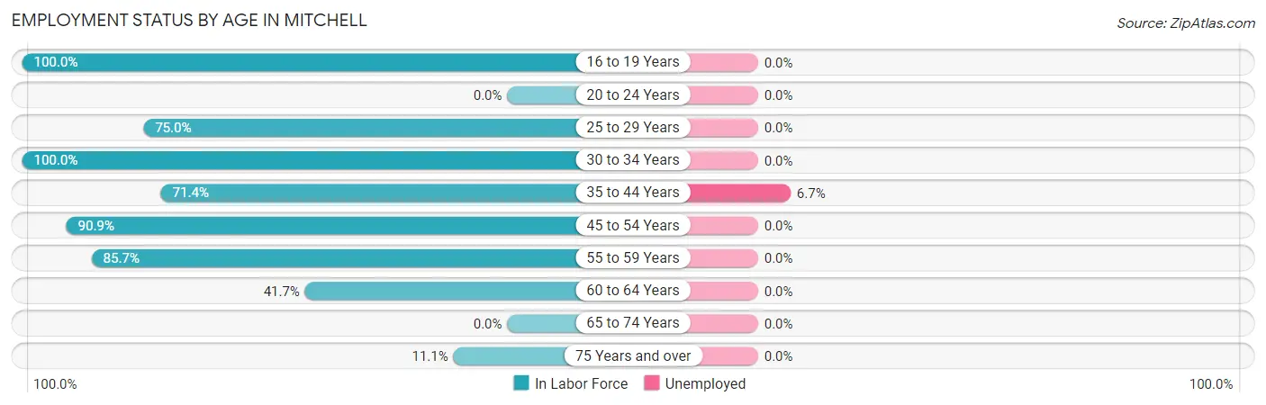 Employment Status by Age in Mitchell