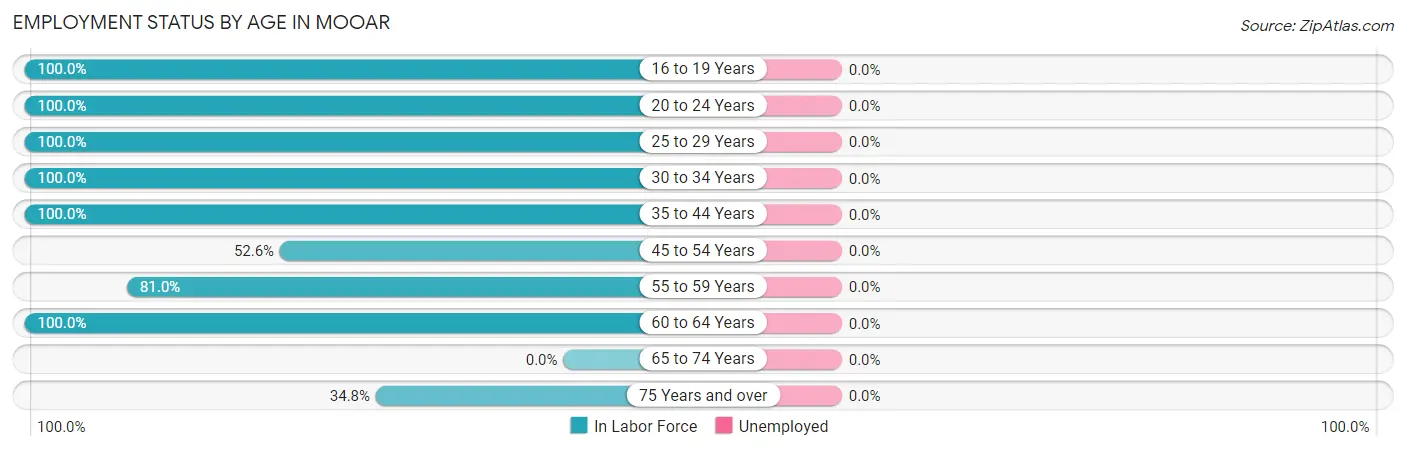 Employment Status by Age in Mooar