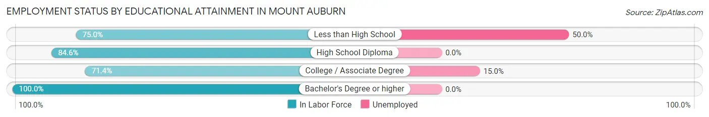 Employment Status by Educational Attainment in Mount Auburn