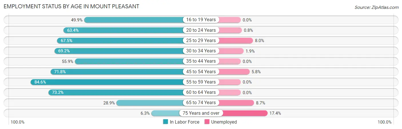 Employment Status by Age in Mount Pleasant