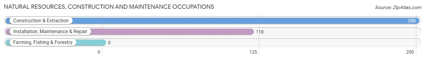 Natural Resources, Construction and Maintenance Occupations in Mount Pleasant