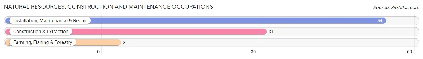 Natural Resources, Construction and Maintenance Occupations in Moville