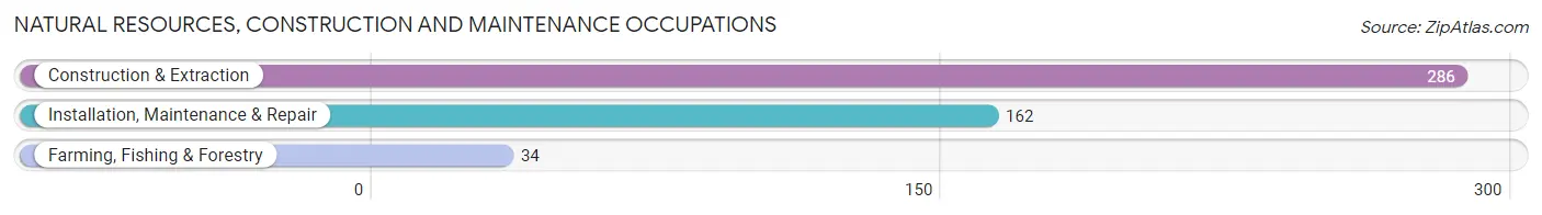 Natural Resources, Construction and Maintenance Occupations in Nevada