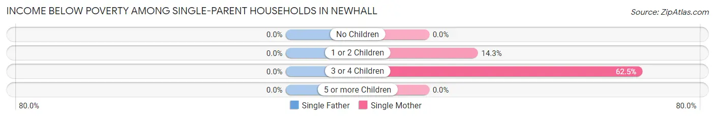 Income Below Poverty Among Single-Parent Households in Newhall