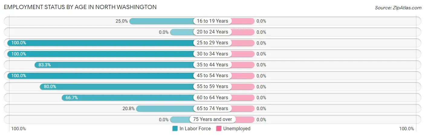 Employment Status by Age in North Washington