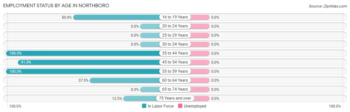 Employment Status by Age in Northboro