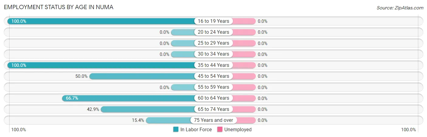Employment Status by Age in Numa