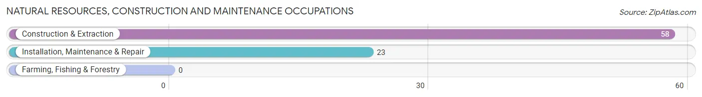 Natural Resources, Construction and Maintenance Occupations in Ogden