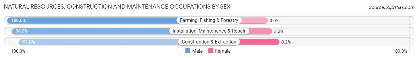 Natural Resources, Construction and Maintenance Occupations by Sex in Oskaloosa