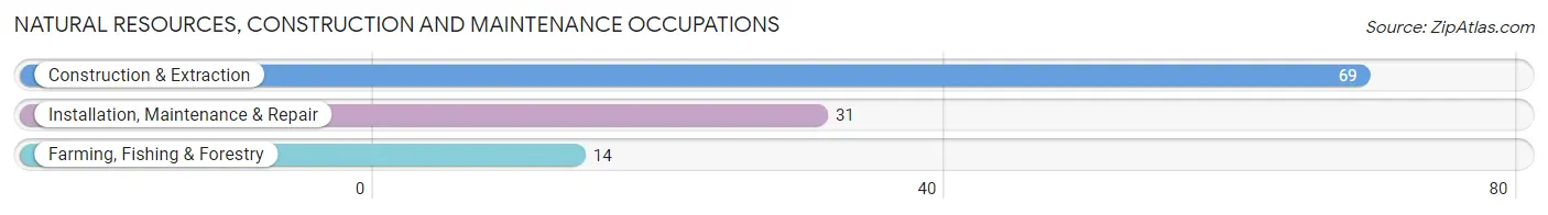 Natural Resources, Construction and Maintenance Occupations in Ossian