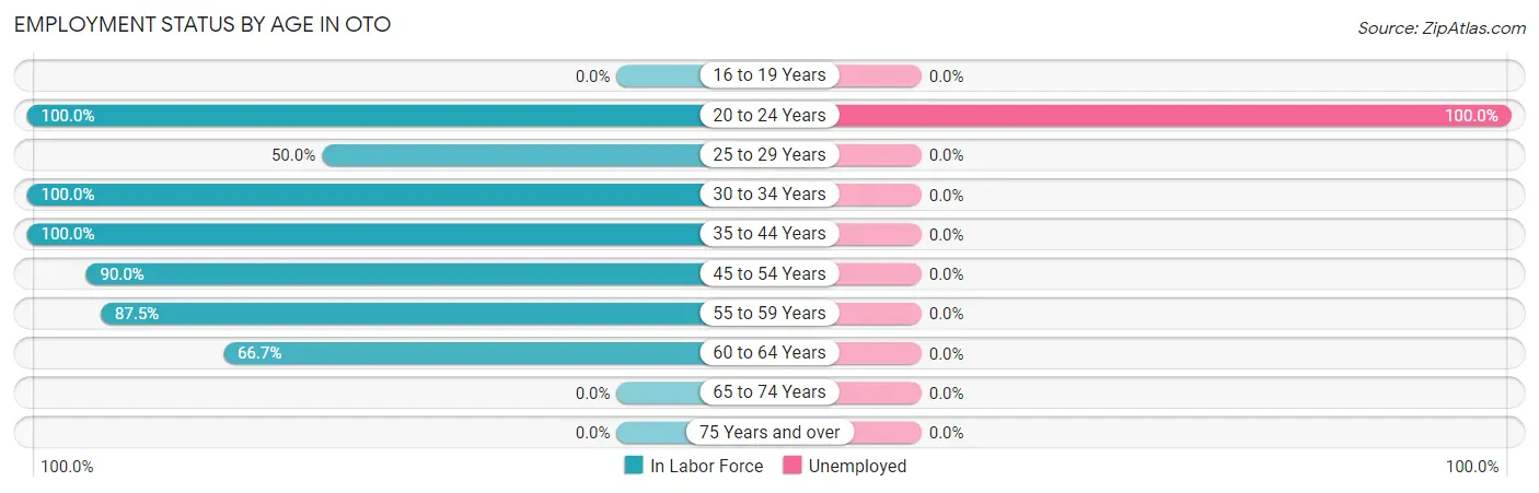 Employment Status by Age in Oto