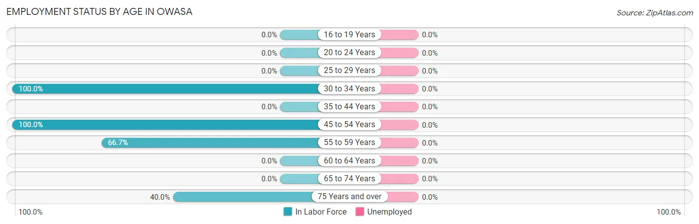 Employment Status by Age in Owasa