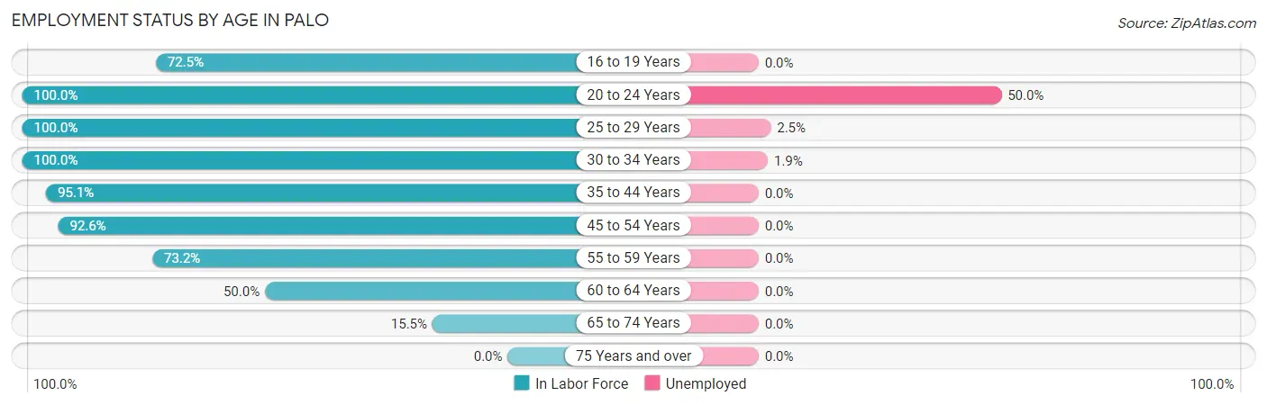 Employment Status by Age in Palo