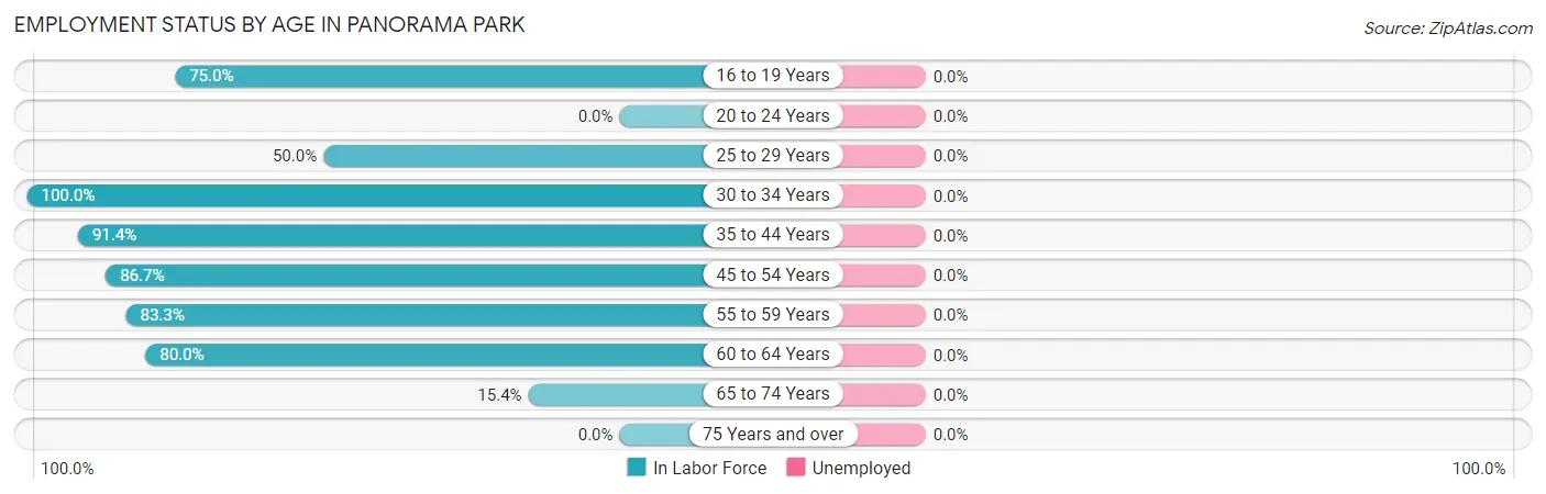 Employment Status by Age in Panorama Park