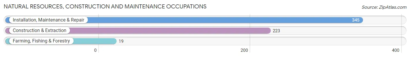 Natural Resources, Construction and Maintenance Occupations in Perry