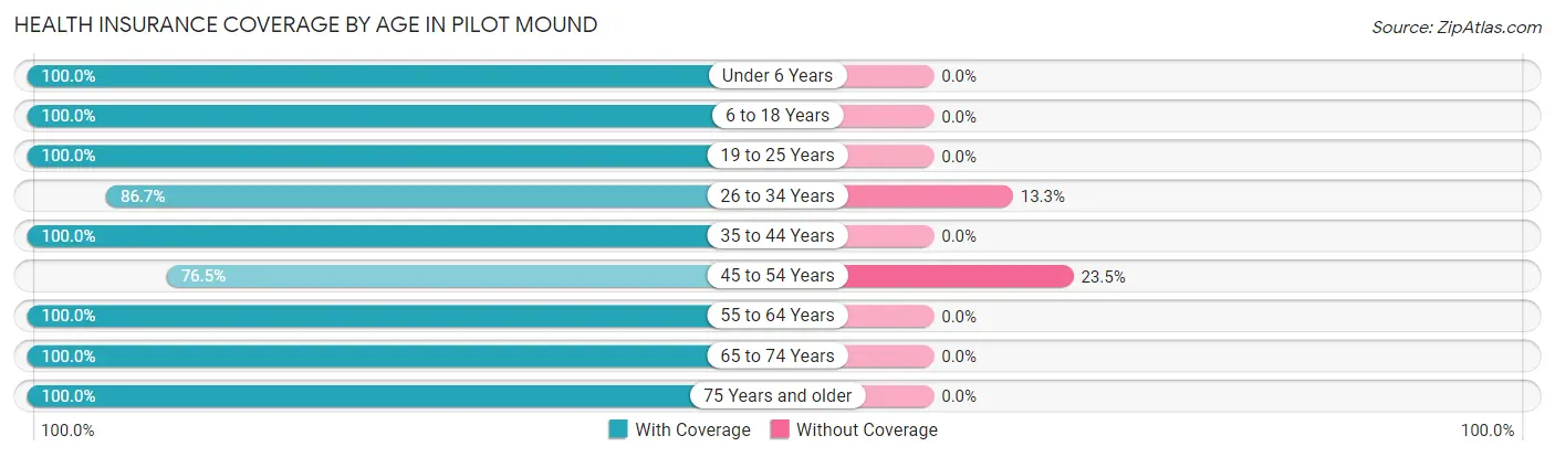 Health Insurance Coverage by Age in Pilot Mound