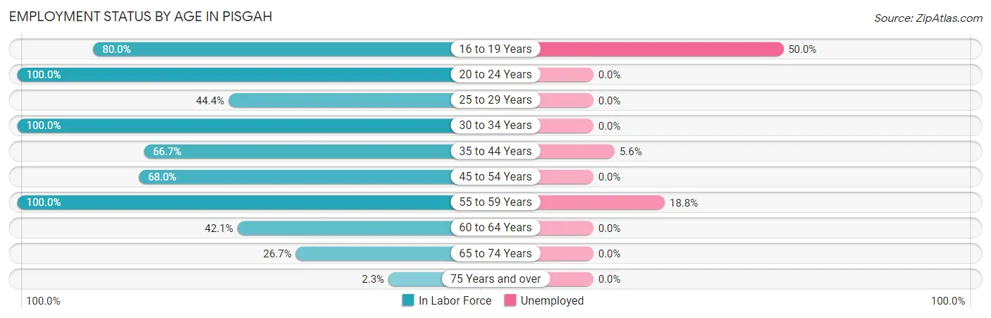 Employment Status by Age in Pisgah