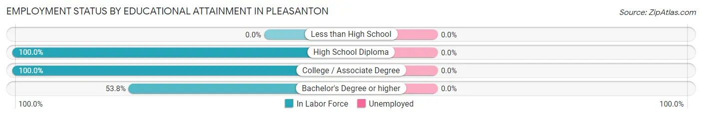 Employment Status by Educational Attainment in Pleasanton