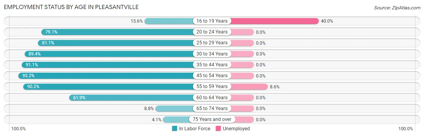 Employment Status by Age in Pleasantville