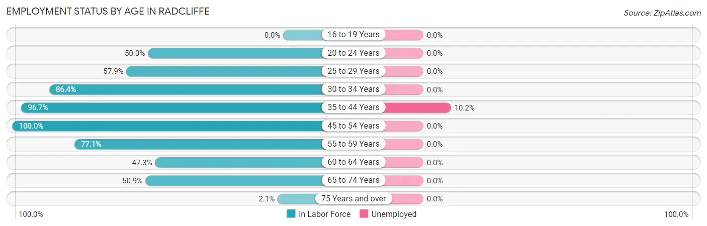 Employment Status by Age in Radcliffe