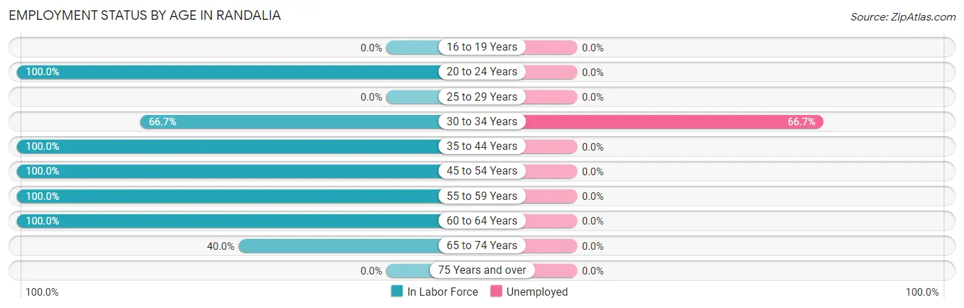 Employment Status by Age in Randalia