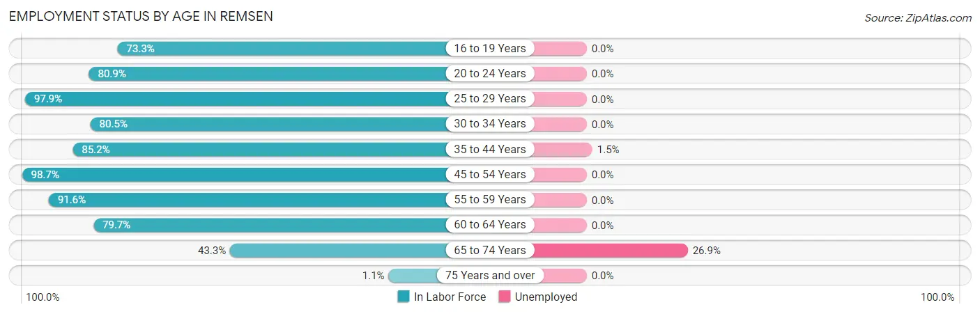 Employment Status by Age in Remsen
